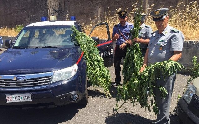 thumbnail_forestali e carabinieri