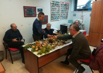 ASP CT. RIAPRONO GLI SPORTELLI MICOLOGICI, PRESENTE ANCHE A BRONTE