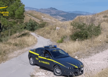 TRUFFE SUI TERRENI DEMANIALI, 13 ARRESTI DELLA GDF, ANCHE RANDAZZO TRA I PAESI INTERESSATI