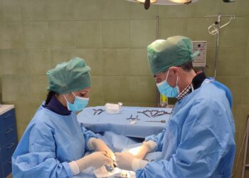 ASP CATANIA: RIPRESA A PIENO REGIME LA STERILIZZAZIONE GRATUITA DI CANI E GATTI