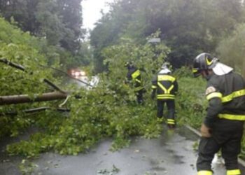ALBERI CADUTI A RANDAZZO E MANIACE DANNI ALL’ AGRICOLTURA, STASERA RIUNIONE