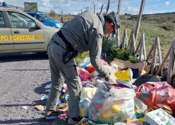 MANIACE: RIFIUTI ABBANDONATI, MULTA DI 600 EURO PER IL RESPONSABILE