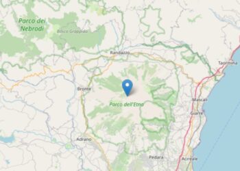 ETNA: UNA SERIE DI SCOSSE TRA BRONTE E MALETTO CON “PUNTA” DI 2.8