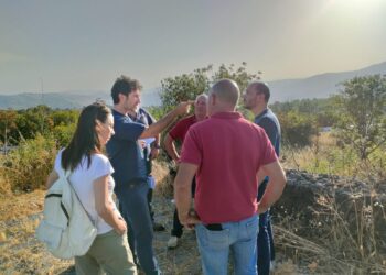BRONTE: UNA BATTAGLIA PER DIFENDERE I PISTACCHIETI E LA BIODIVERSITA’ DELL’ETNA