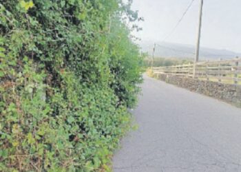 TRA RANDAZZO E CASTIGLIONE: STRADE PROVINCIALI INVASE DA CESPUGLI «SANZIONARE I PROPRIETARI DEI TERRENI»