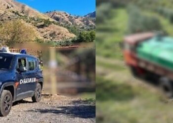 MALVAGNA: DENUNCIATO 47ENNE CHE SMALTIVA ILLECITAMENTE LE ACQUE REFLUE DEL FRANTOIO