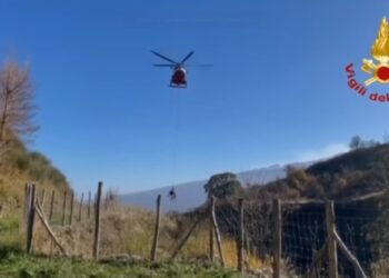 S. DOMENICA VITTORIA: È STATA TRATTA IN SALVO DAI VVF UNA MUCCA DI 400 KG CADUTA IN UN DIRUPO