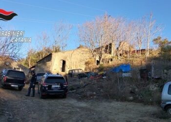 LINGUAGLOSSA E PIEDIMONTE: CONTROLLI DEI CC, TROVATI ARMI E MUNIZIONI 2 DENUNCIATI, 1 SEGNALATO