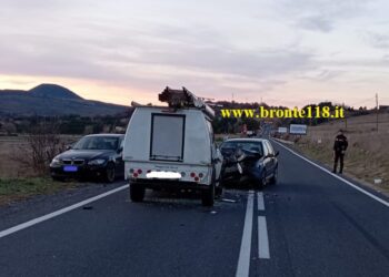 BRONTE: MUCCA IN STRADA PROVOCA INCIDENTE FERITI LIEVI MA MUORE IL BOVINO – LE FOTO