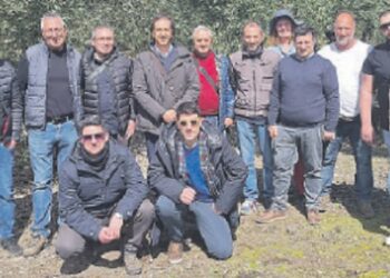 RANDAZZO: LA SCOMMESSA SULL’OLIO D’OLIVA DEL VULCANO