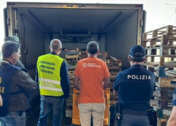 CATANIA: SEQUESTRO AL MAAS DI 20 TONNELLATE DI PRODOTTI ORTOFRUTTICOLI NON TRACCIATI