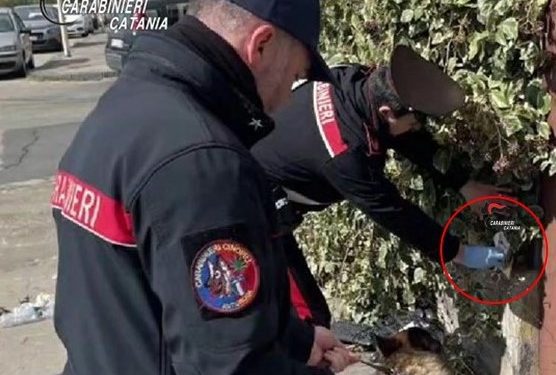 BRONTE: CONTROLLI ANTIDROGA IN UNA SCUOLA – LE FOTO E IL VIDEO