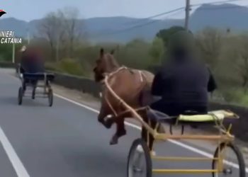 CASTIGLIONE DI SICILIA: INTEROTTA DAI CC UNA CORSA DI CAVALLI CLANDESTINA, 3 DENUNCIATI, CALESSI E CAVALLI SEQUESTRATI